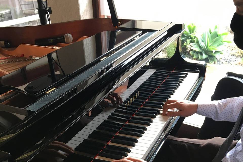 Músico pianista Bogotá