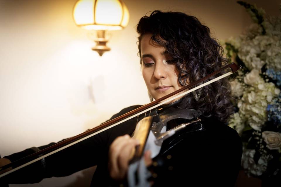 Violinista Bogotá