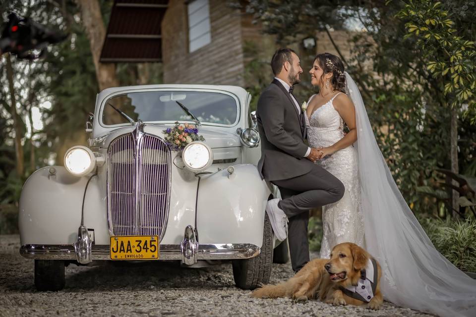 Matrimonios con Mascotas