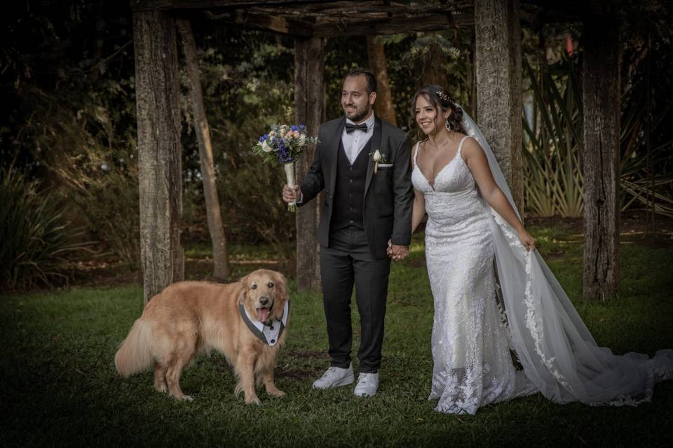 Bodas con Mascotas