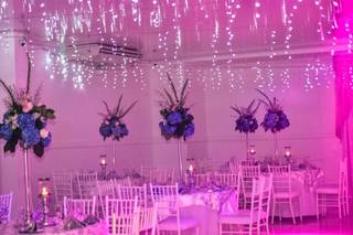 Bichos Eventos 1
