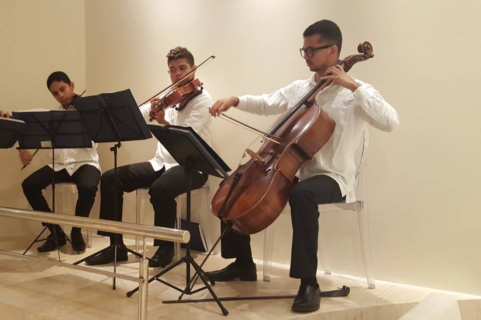 Cuarteto de cuerdas recepción