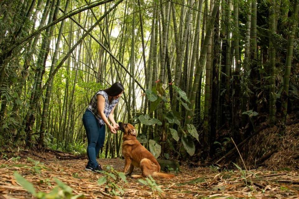 Sendero ecológico