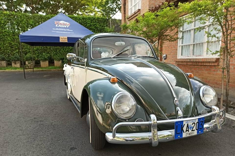 VW escarabajo