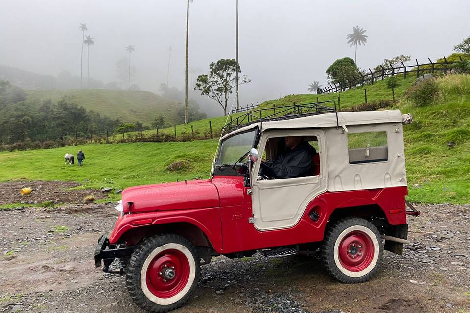 Jeep Willys 1971 Jeepeto