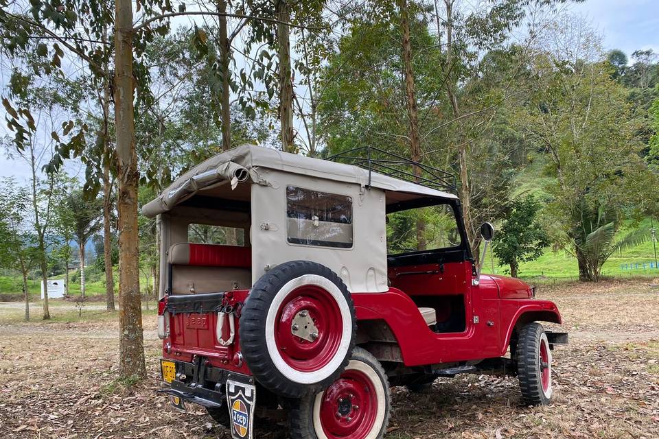 Jeep Willys 1971 Jeepeto